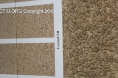 Carpet inspection with CRI Scales