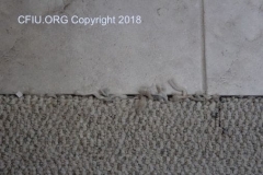Carpet Fraying at doorway ceramic tile