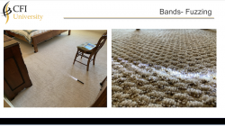 CFI University Carpet Inspector Certification