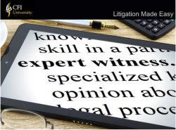 Litigation Made Easy